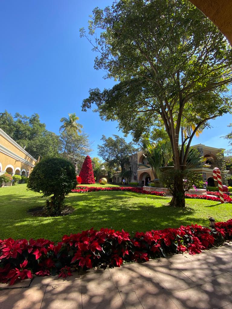 Imagen Administración